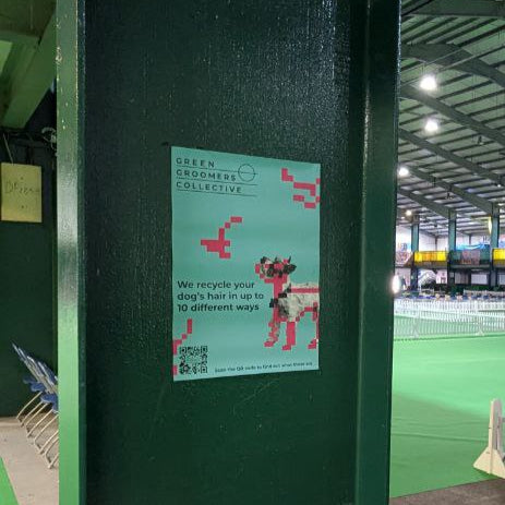 Recycling Pet Hair in 10 Ways - Poster