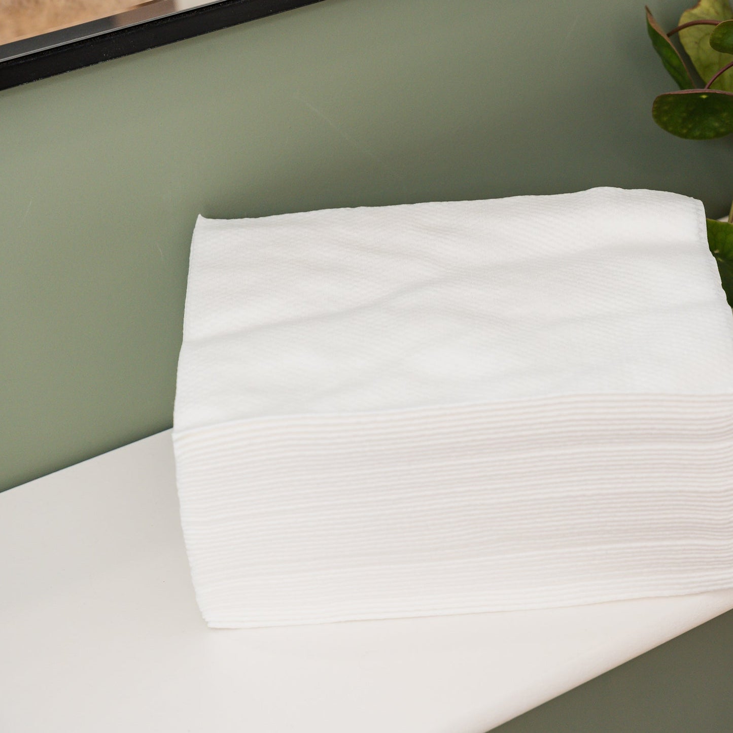 Replant Compostable Grooming Salon / Dog Towels