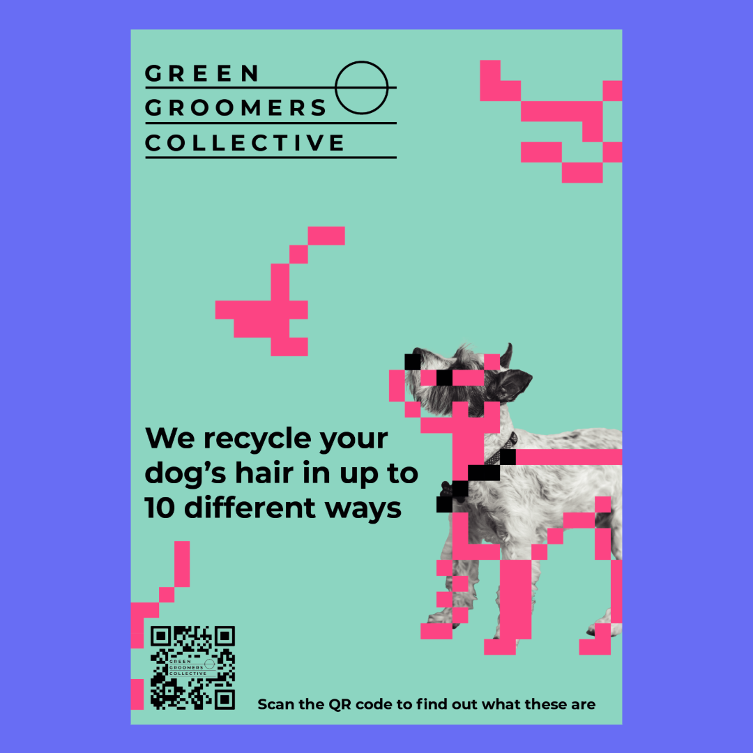 Recycling Pet Hair in 10 Ways - Poster